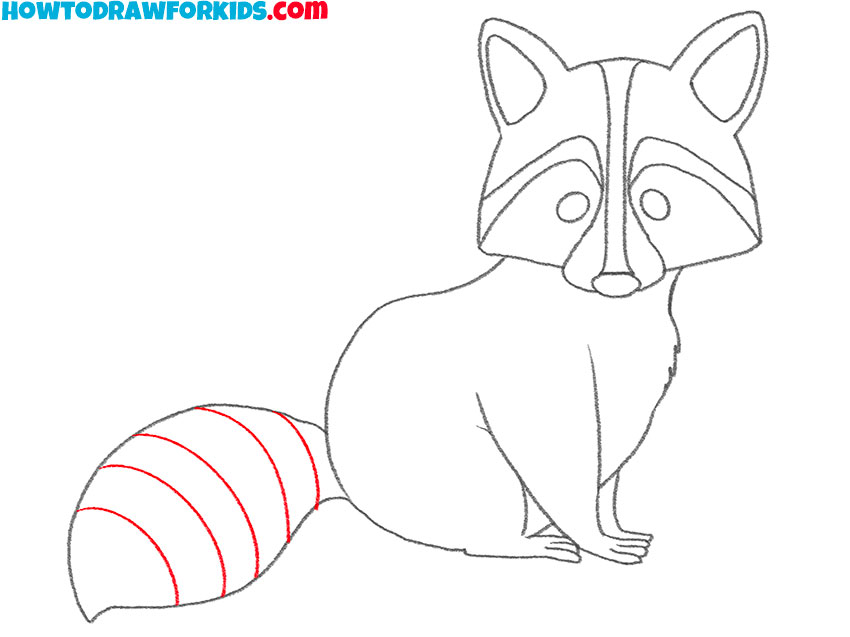 how to draw a raccoon easy