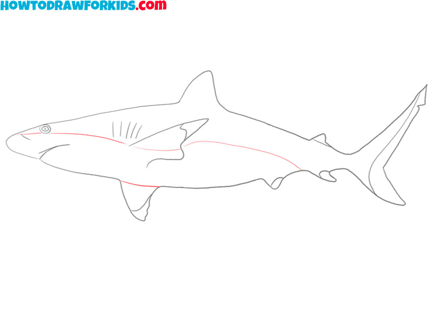 how to draw a shark cute and easy