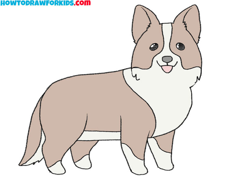 How to Draw a Border Collie Easy Drawing Tutorial For Kids
