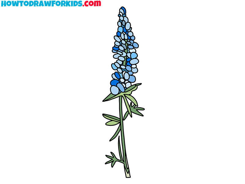 Field with outline lupin or lupine or bluebonnet flower bunch, posters for  the wall • posters graphic, illustration, drawing | myloview.com