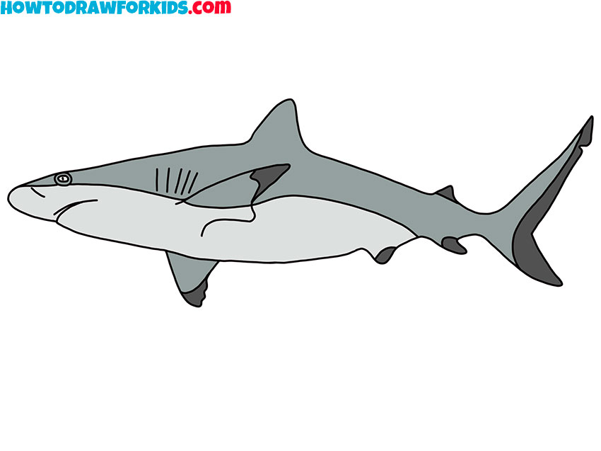 how to draw a cartoon shark easy