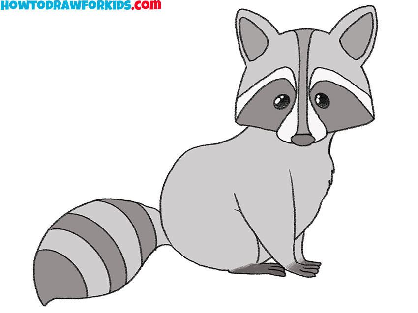 how to draw a realistic raccoon step by step