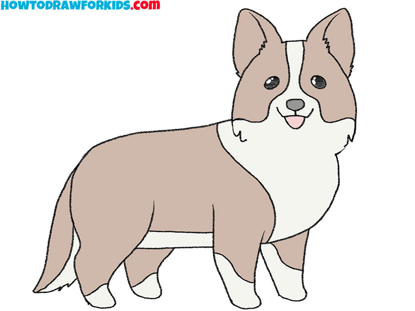 simple border collie drawing lesson for kids