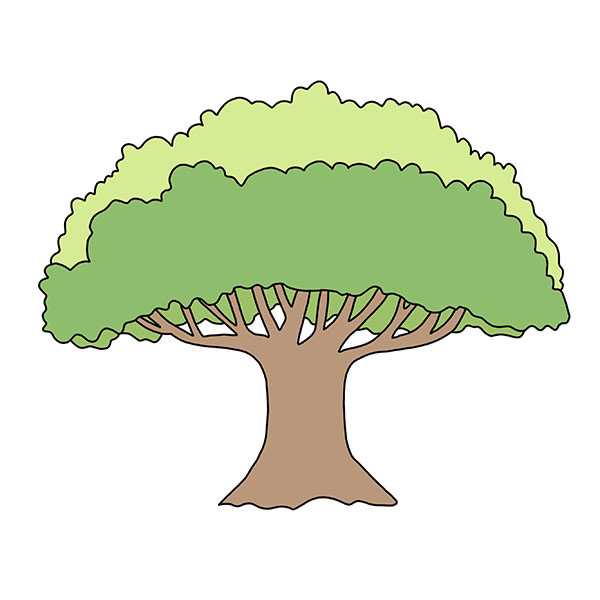 How to Draw a Big Tree