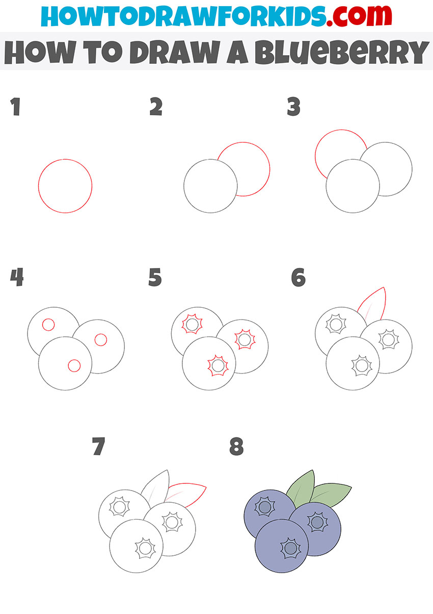 how to draw a blueberry step by step