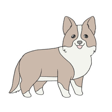 How to Draw a Border Collie