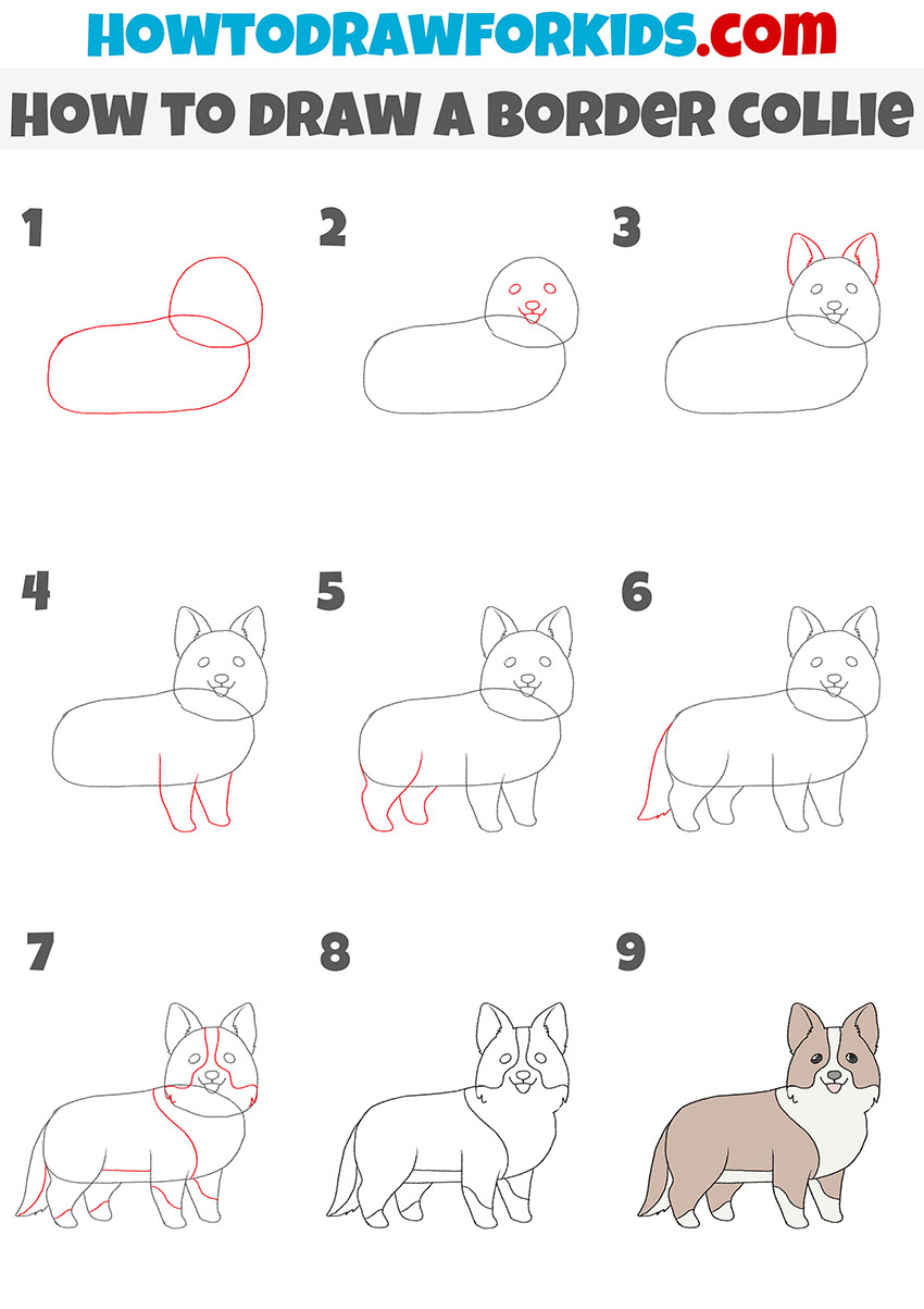 How to Draw a Border Collie - Easy Drawing Tutorial For Kids