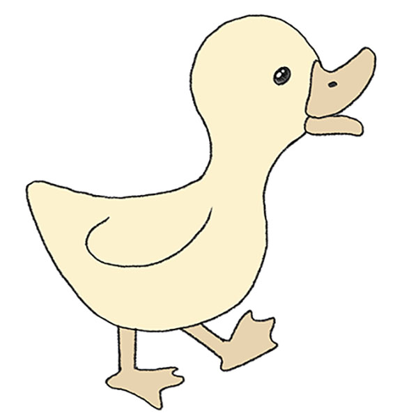 How to Draw a Cartoon Duck