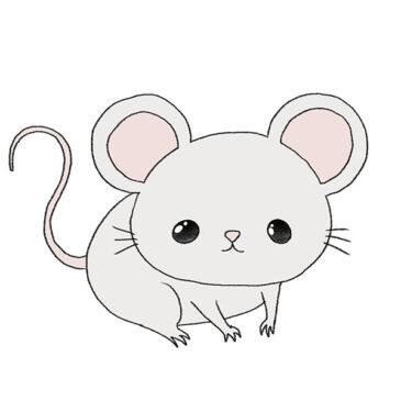 How to Draw a Cartoon Mouse