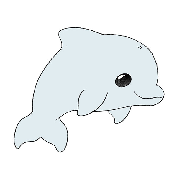 How to Draw a Cute Dolphin
