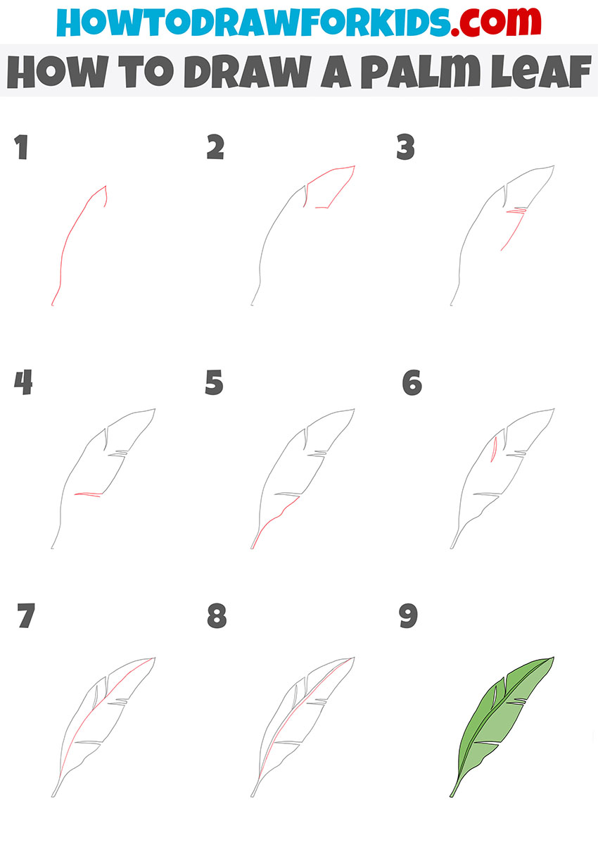how to draw a palm leaf step by step