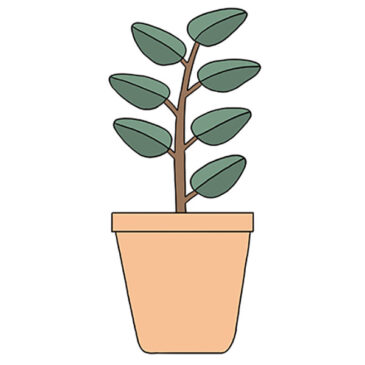 How to Draw a Plant in a Pot