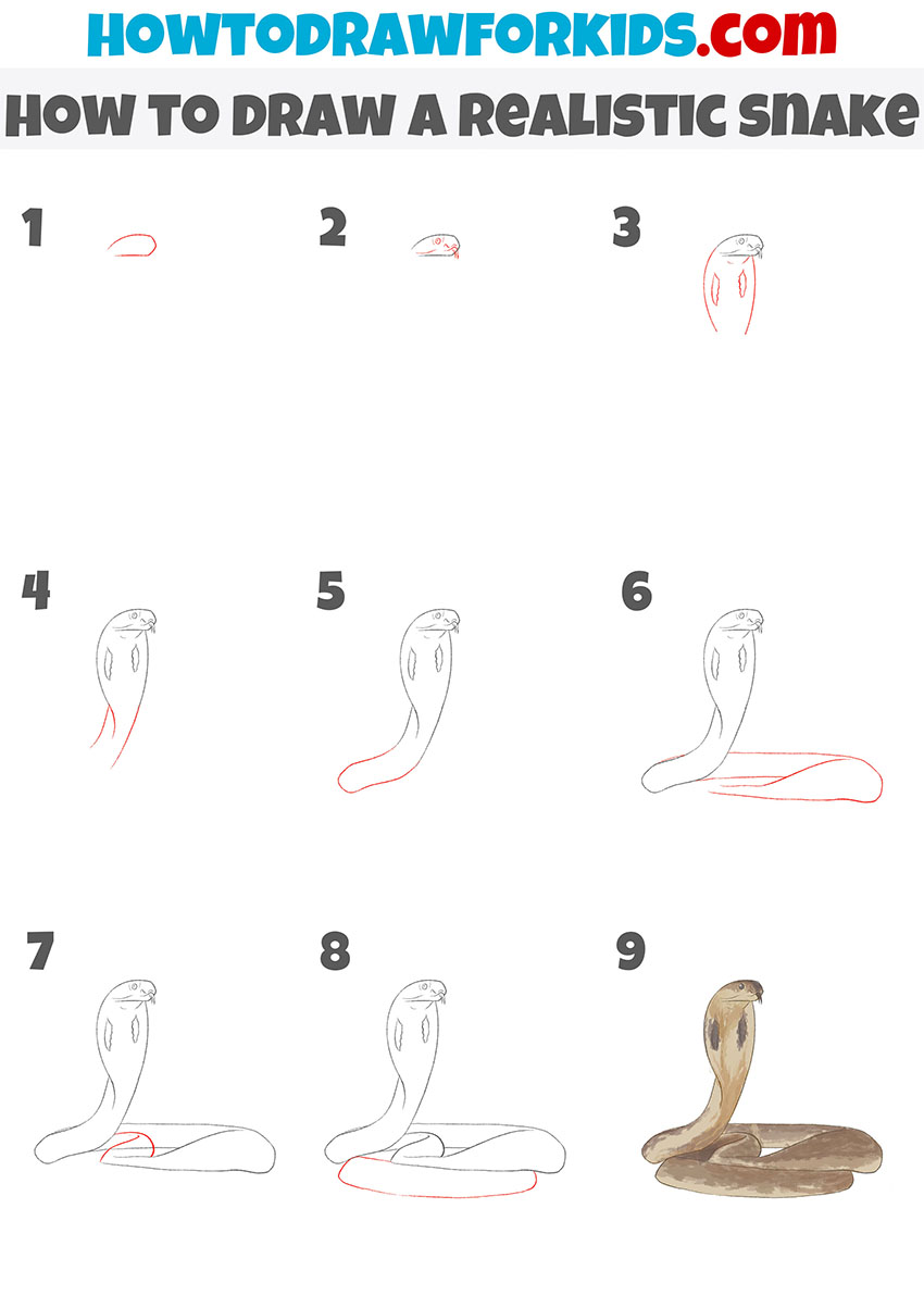how to draw a realistic snake step by step