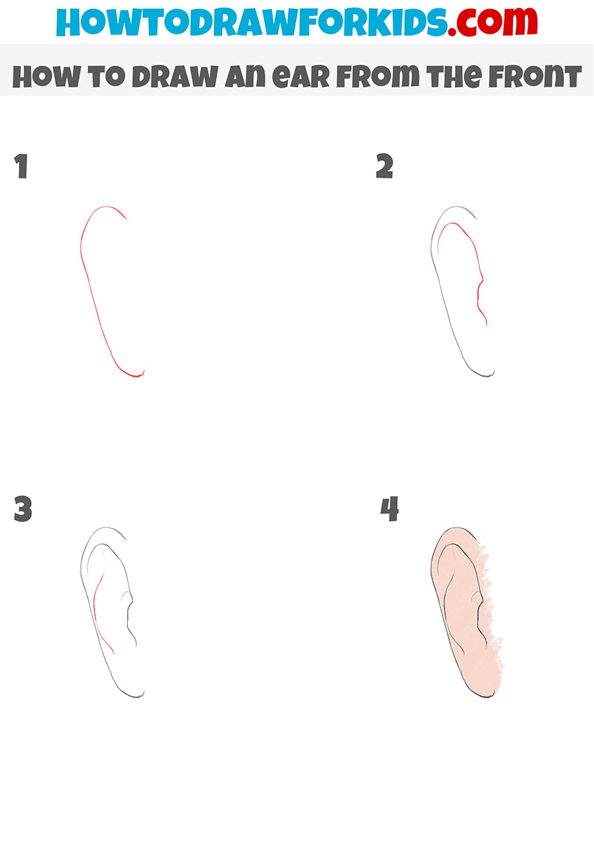 how to draw an ear from the front step by step