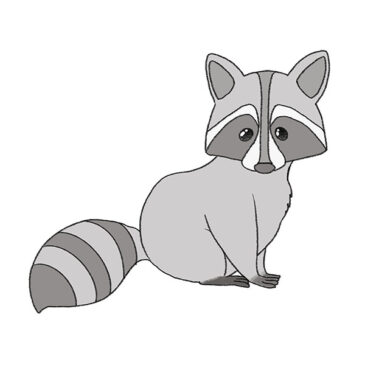 How to Draw an Easy Raccoon