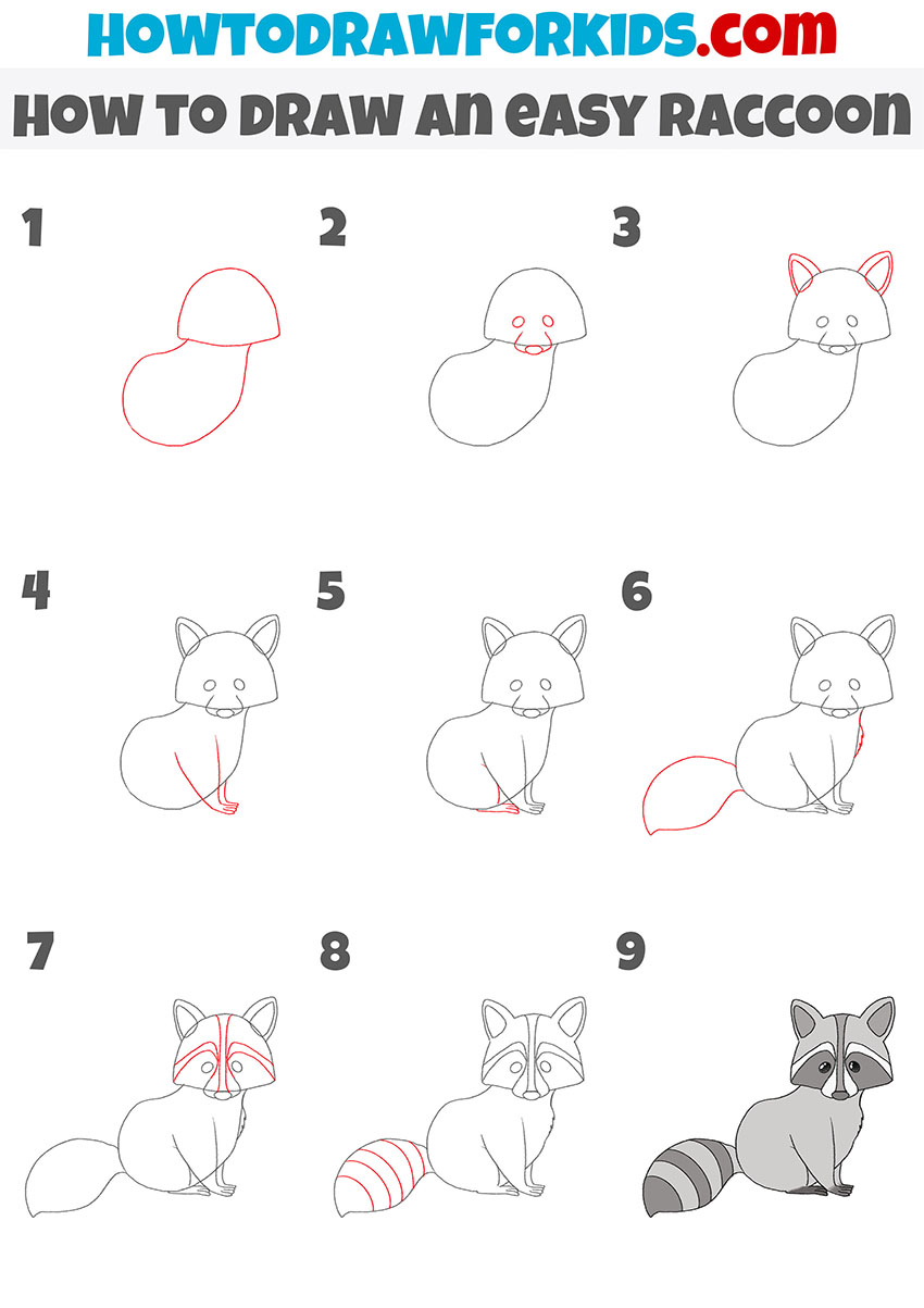 how to draw an easy raccoon step by step