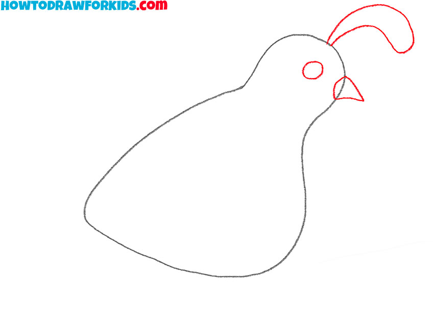 how to draw a cartoon quail