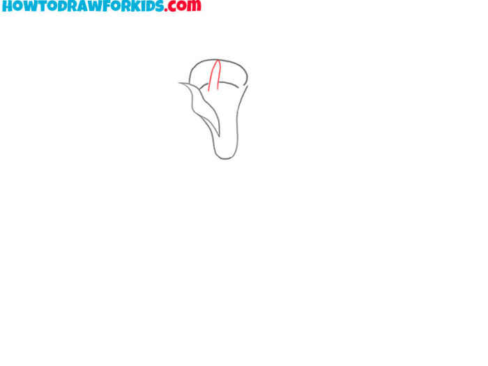 How to Draw a Calla Lily Easy Drawing Tutorial For Kids