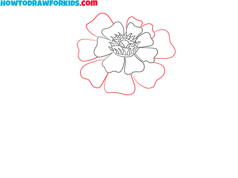 how to draw a marigold realistic