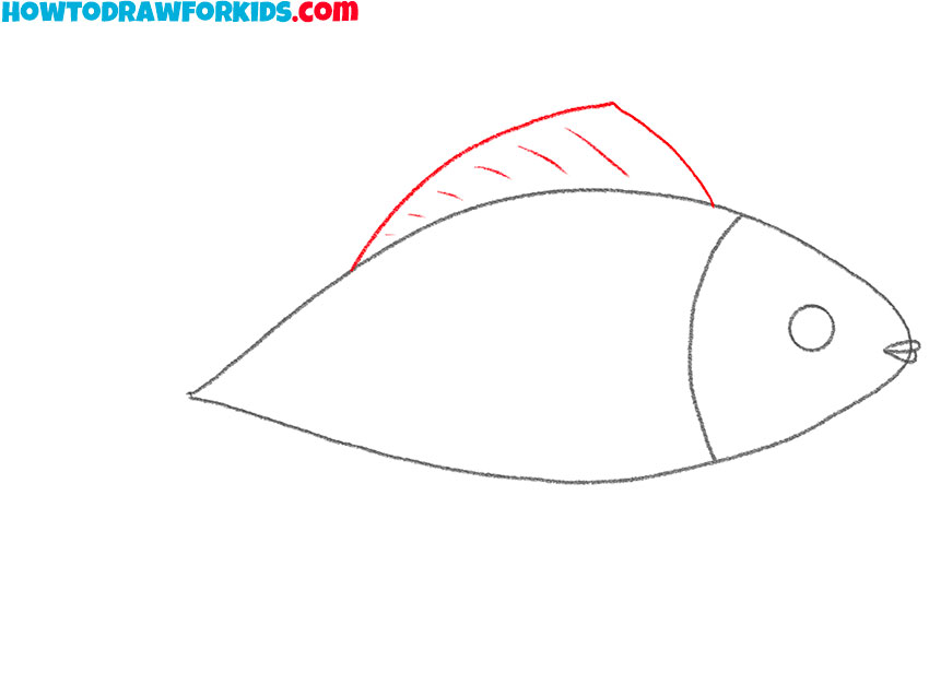 how to draw a realistic small fish