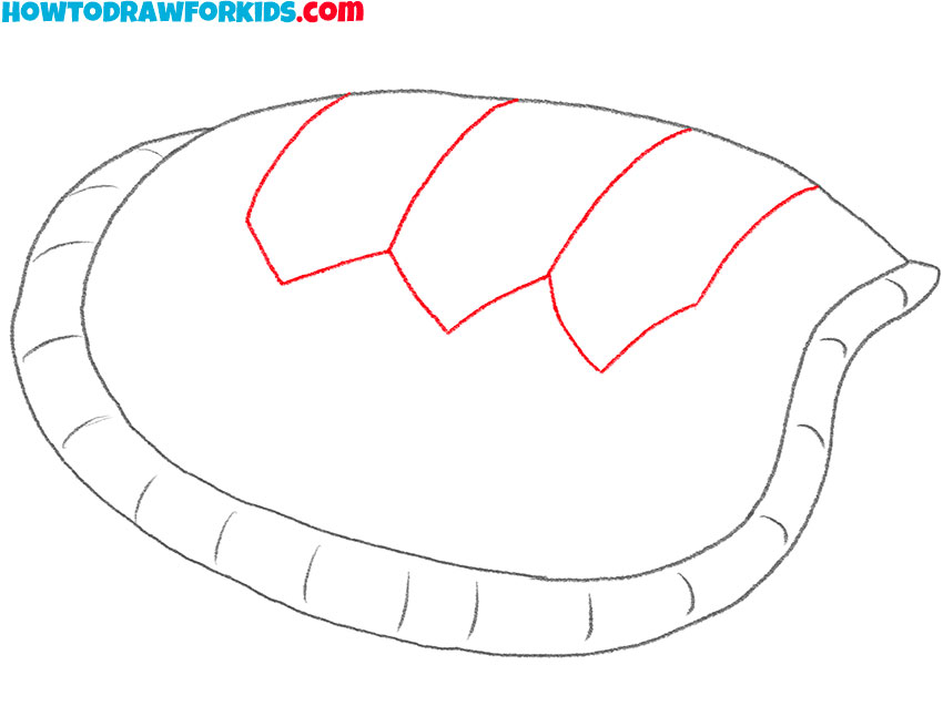 turtle shell drawing lesson