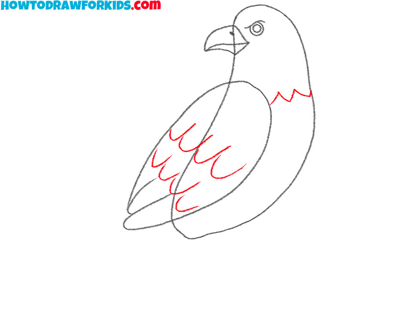 hawk drawing lesson