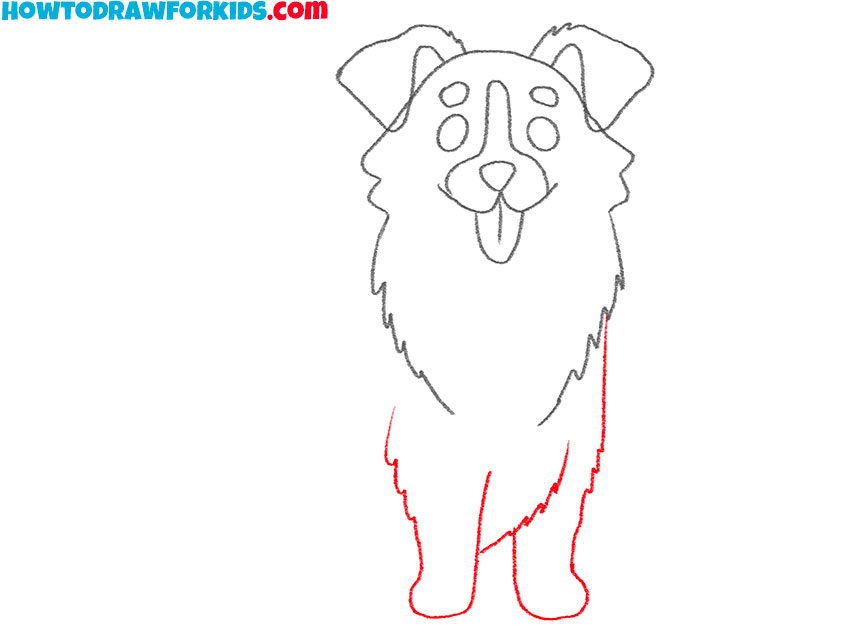 Premium Vector  Color sketch of dog blackwhitecopper tricolor australian  shepherd breed aussie or little blue dog