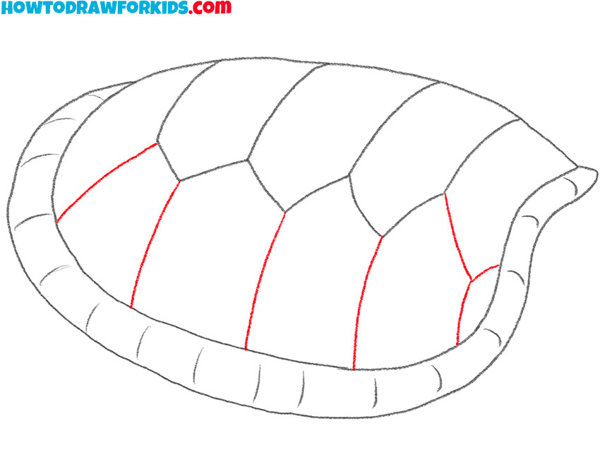 turtle shell drawing tutorial
