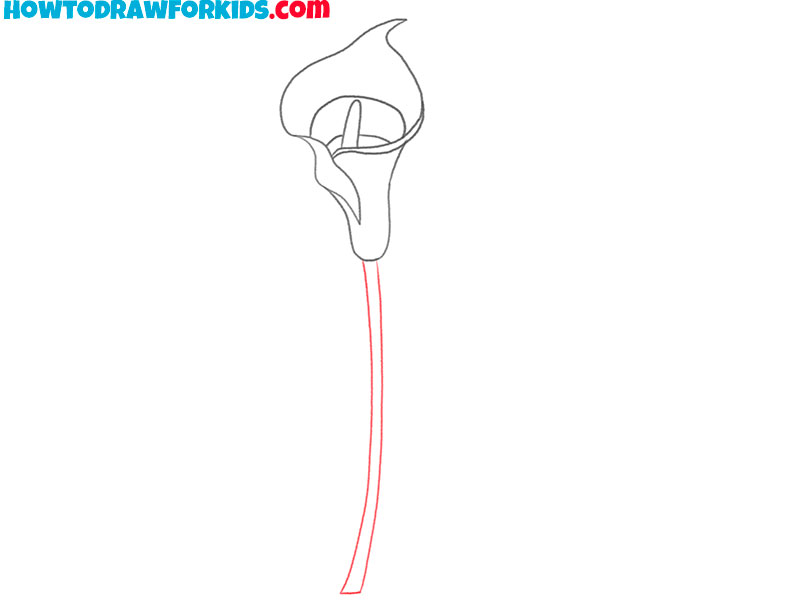 calla lily drawing for kids