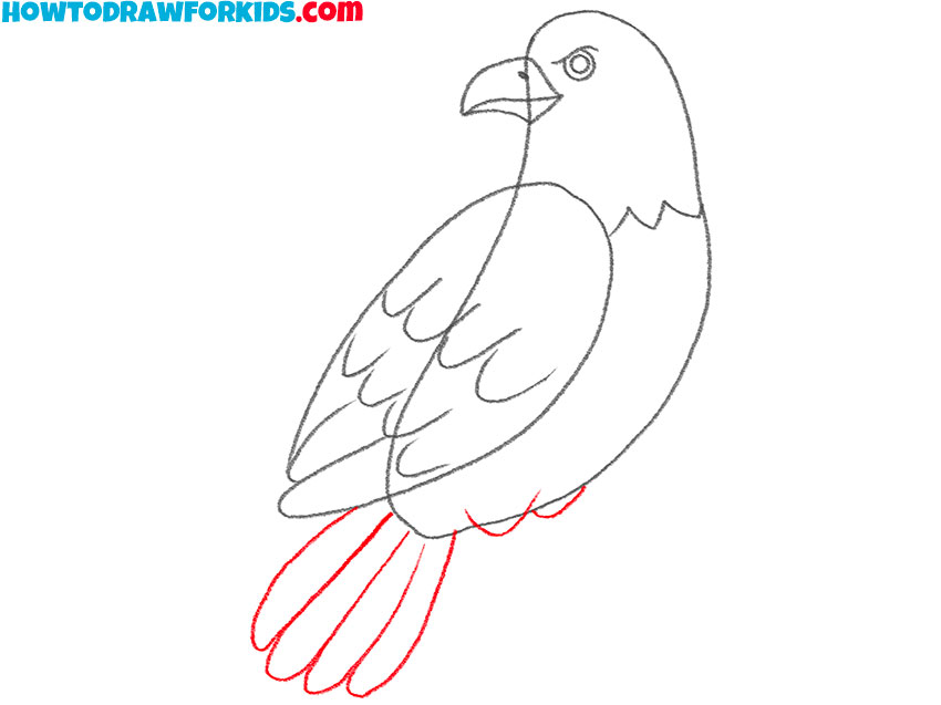 hawk drawing tutorial