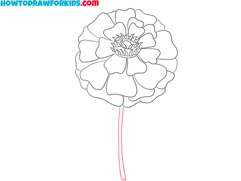 how to draw a realistic marigold