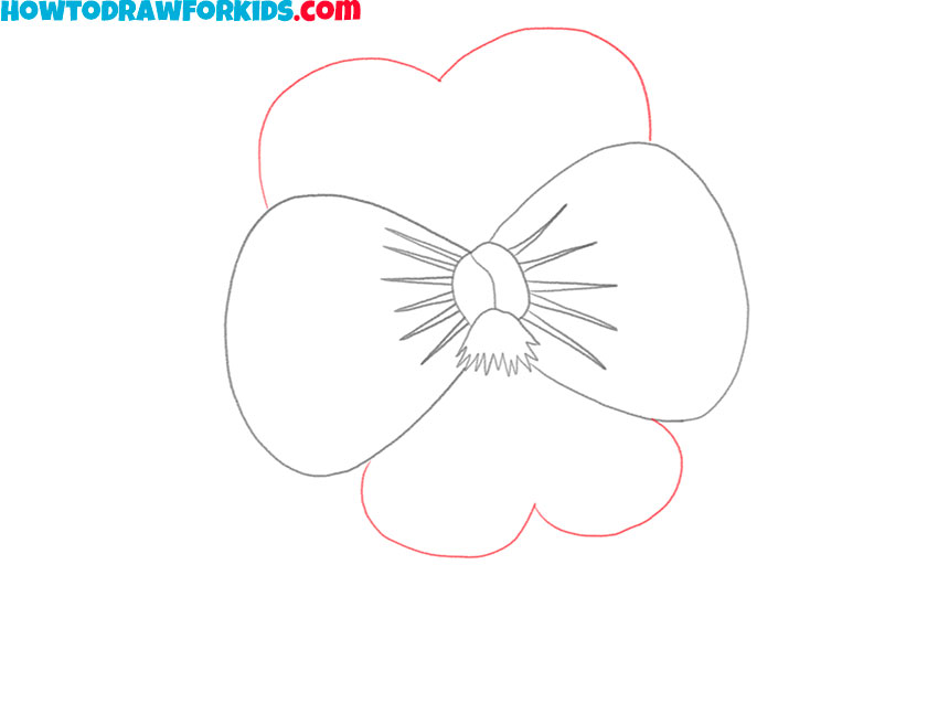 how to draw a realistic pansy