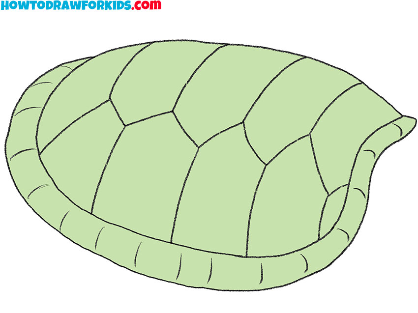 turtle shell drawing guide