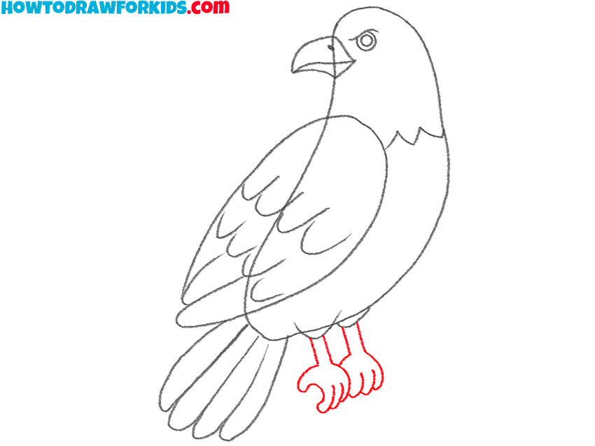 hawk drawing guide
