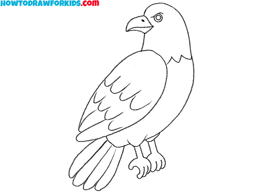 simple hawk drawing
