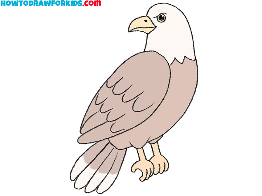 How to Draw a Hawk Step by Step - Easy Drawing Tutorial For Kids