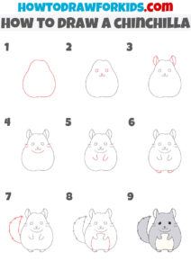 How to Draw a Chinchilla - Easy Drawing Tutorial For Kids