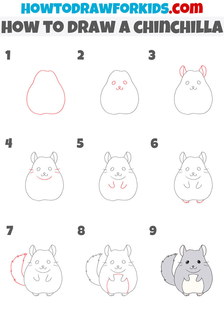 How to Draw a Chinchilla Easy Drawing Tutorial For Kids
