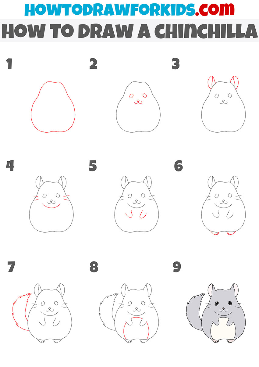 how to draw a chinchilla step by step