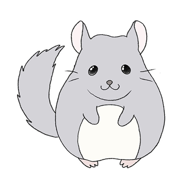 How to Draw a Chinchilla Easy Drawing Tutorial For Kids