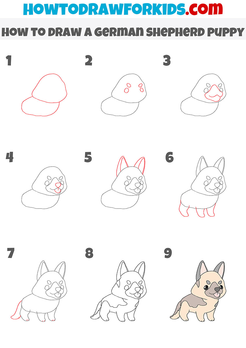 how to draw a german shepherd puppy step by step