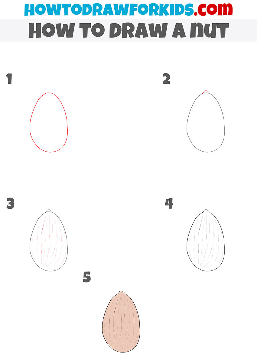 how to draw a nut step by step