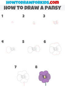 How to Draw a Pansy - Easy Drawing Tutorial For Kids
