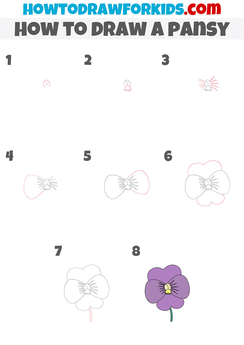 how to draw a pansy step by step