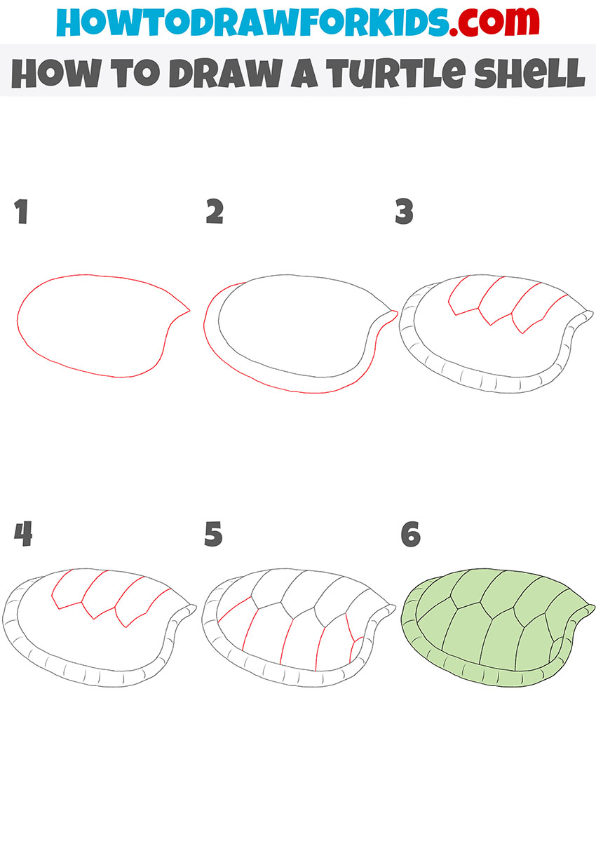 how to draw a turtle shell step by step