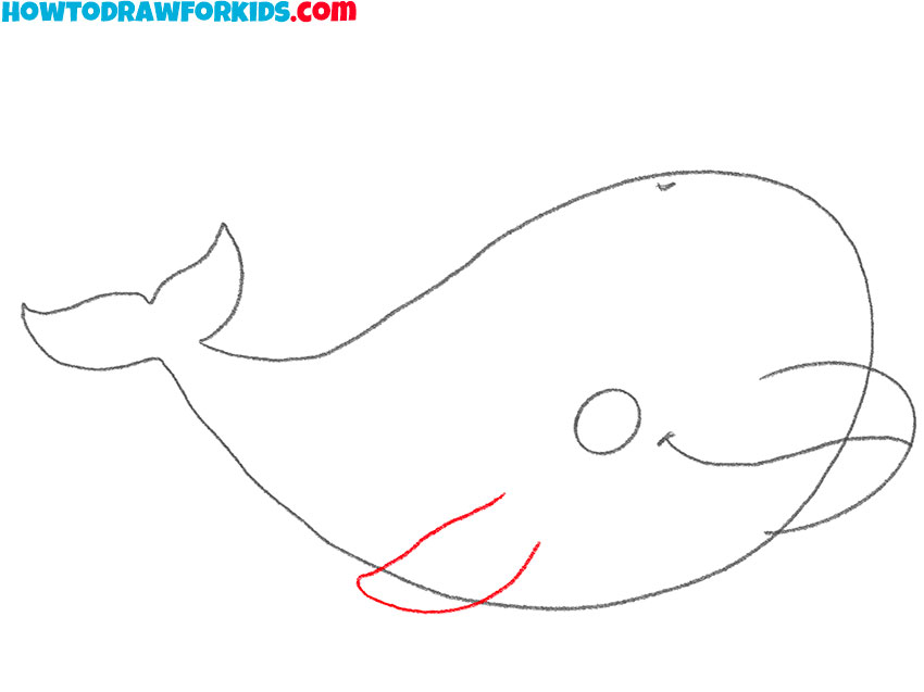 how to draw a cartoon beluga whale