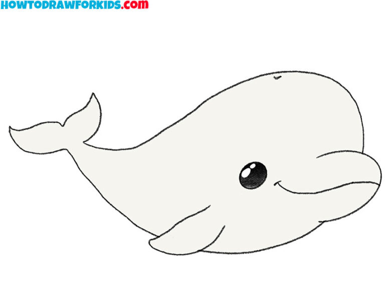 How to Draw a Beluga Whale Easy Drawing Tutorial For Kids