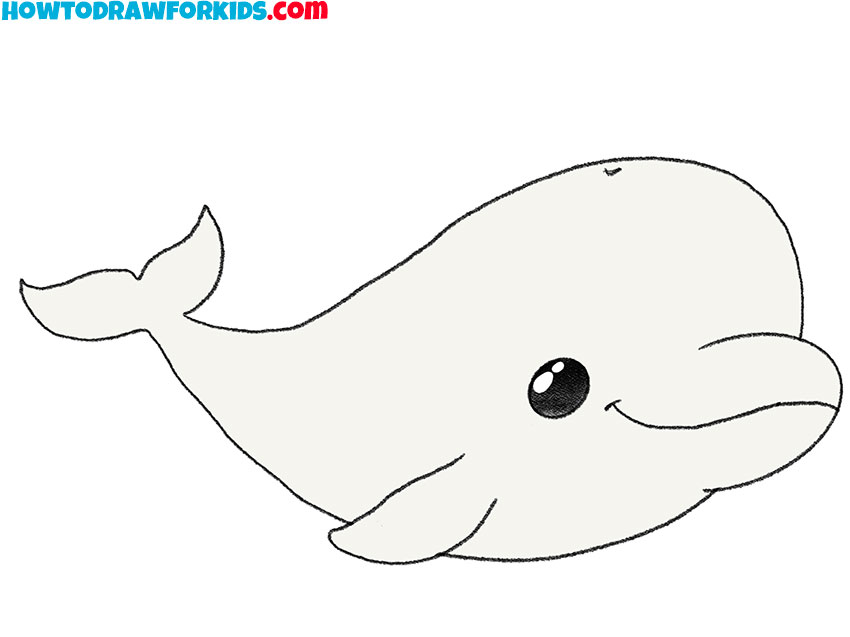 how to draw a beluga whale for kids