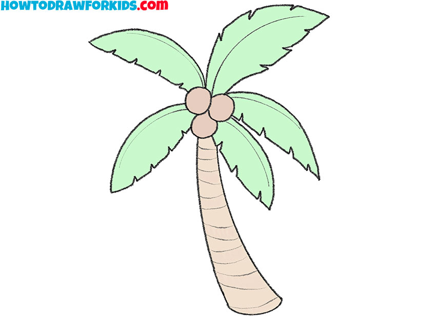 how to draw a coconut tree for kindergarten