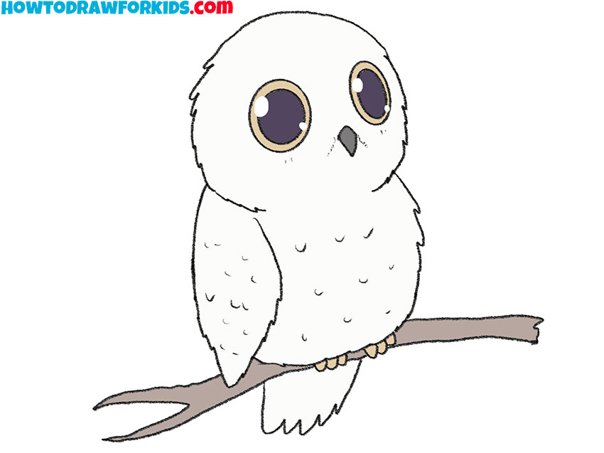 how to draw an owl